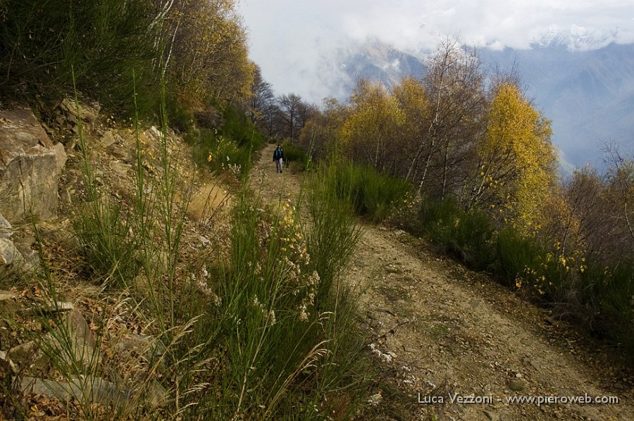 08-VEGETAZIONE D'AUTUNNO.jpg